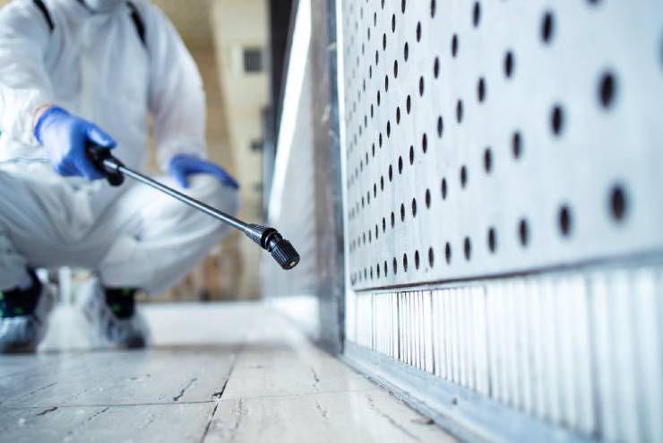 A cleaning crew member is cleaning mold.